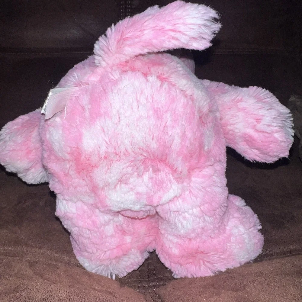2022 Snoopy Cedar Fair Peanuts Worldwide Pink Plush 12